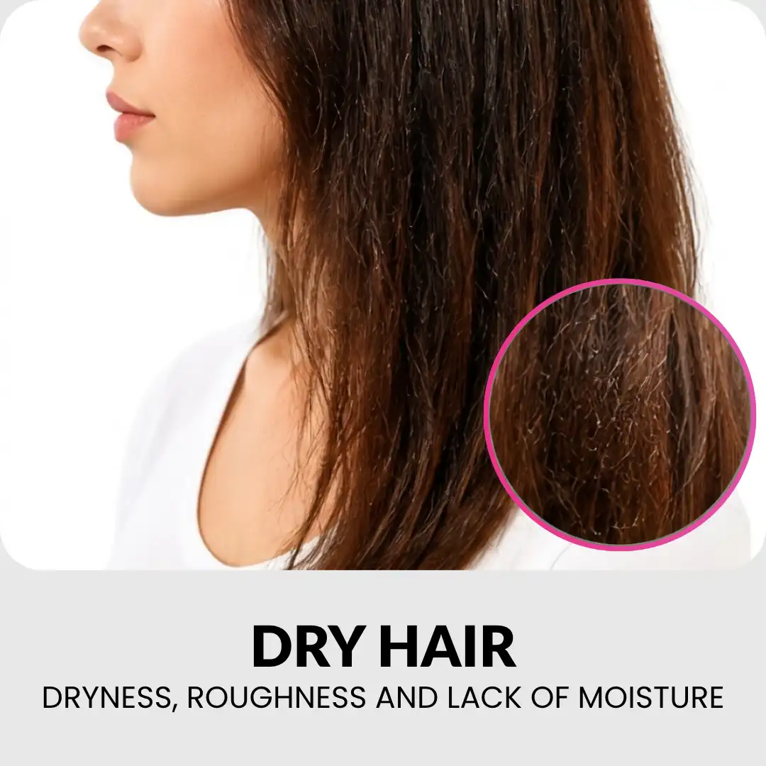 Shop by Hair Concern​