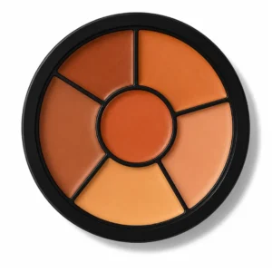 Swiss Beauty Cover Play 6 in 1 Concealer Palette 02 Medium To Dark